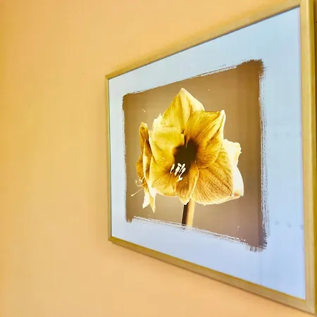 Apartmán La Valletta Jadranovo